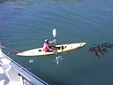IMG_0108